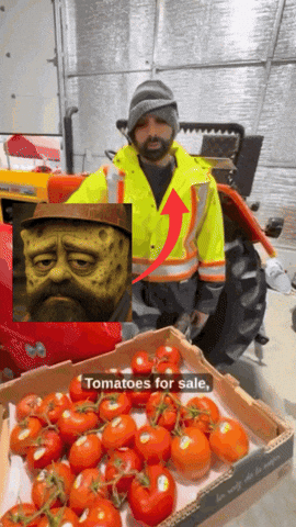 Factory Tomatoes GIF
