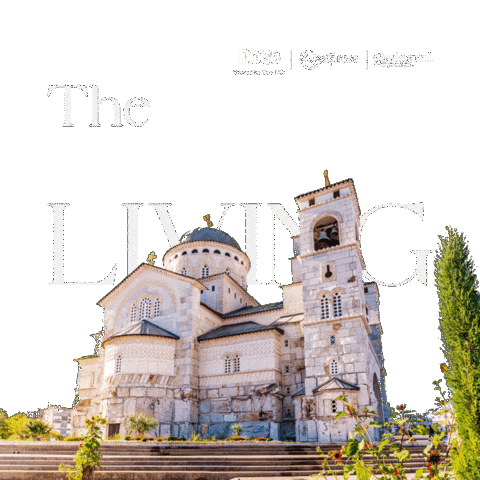 Montenegro Artofliving Sticker by Q Yatırım Holding