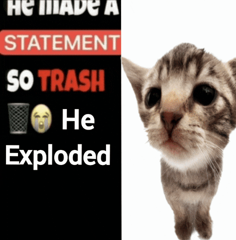 Cat Explode GIF