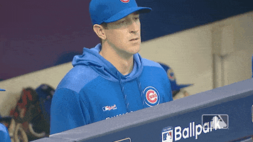 chicago cubs 2019 baseball GIF by MLB