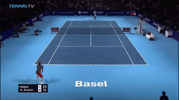 Robin  Haase GIF