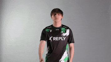 GIF by Reply Totem