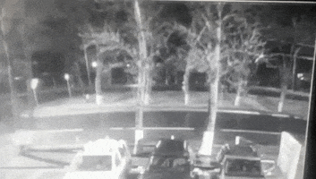 roqintriago  GIF