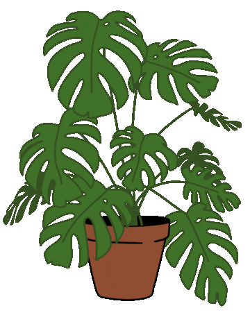 Plant Leaf Sticker