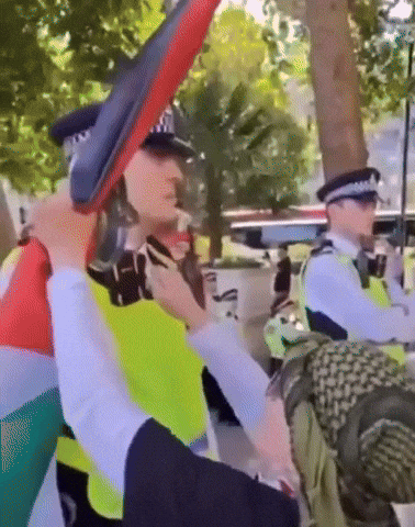 Police GIF