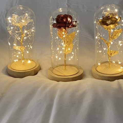 Enchanted Sparkling Rose – IOOI Studio