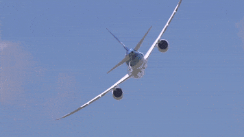 Flying In The Sky GIF by Safran