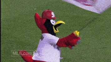 Saint Louis Cardinals GIFs - Get the best GIF on GIPHY