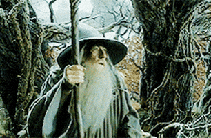 Gandalf S GIFs - Get the best GIF on GIPHY