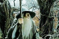 Giphy - the hobbit im GIF