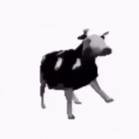 Cow Dance GIF