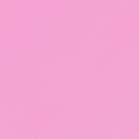 Pink Rose GIF by Kard