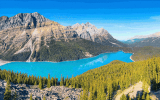 Felix Y Manalo Foundation GIF