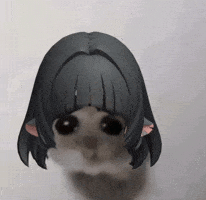 Jane Doe Hamster GIF