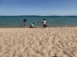 Michigan GIF