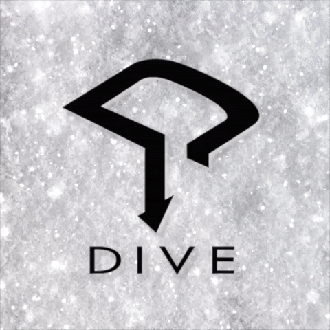 dive  GIF