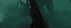 Fight Star GIF