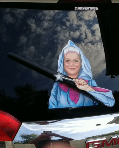 Fairygodmother GIF by WiperTags Wiper Covers