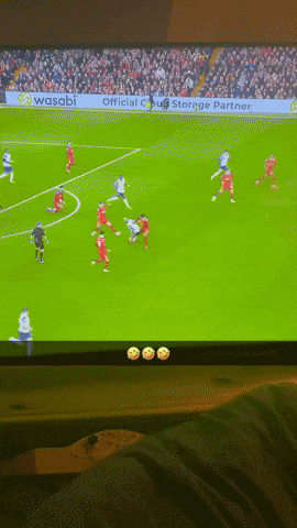 Van Dijk GIF
