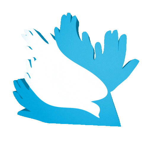 Fontecerrado Sticker by Ta na Fonte!