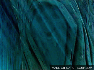 pocahontas GIF