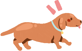 Sausage Dog Sticker