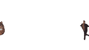 Cold Shoulder Sticker