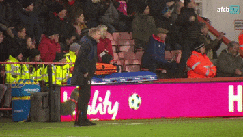 Football Celebrate GIF by AFC Bournemouth