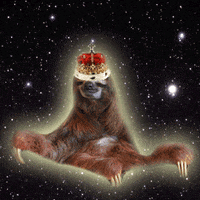 Space Sloth GIF by omgslothsinspace