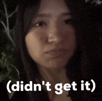 Meru GIF
