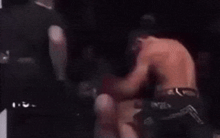 Ufc Punch GIF