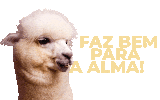 Alpacas Visita Escolar Sticker by Alma Alpaca