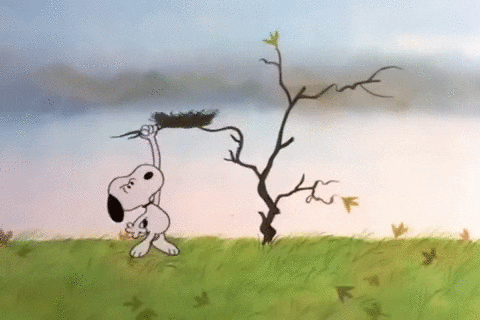 a charlie brown thanksgiving