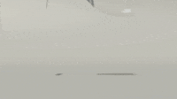 black and white GIF