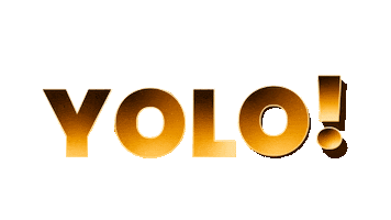 Yolo Sticker