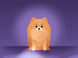 Dog Glow GIF by Kate Hummer