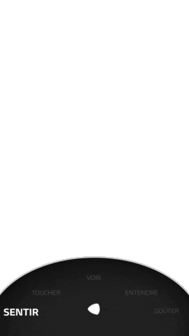 Sensazione Sticker by Ducati