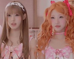 Stella GIF
