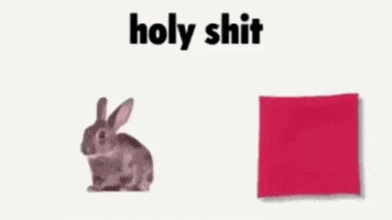 Magic Bunny GIF