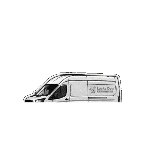 Scldar Sticker by Lucky Dog Animal Rescue