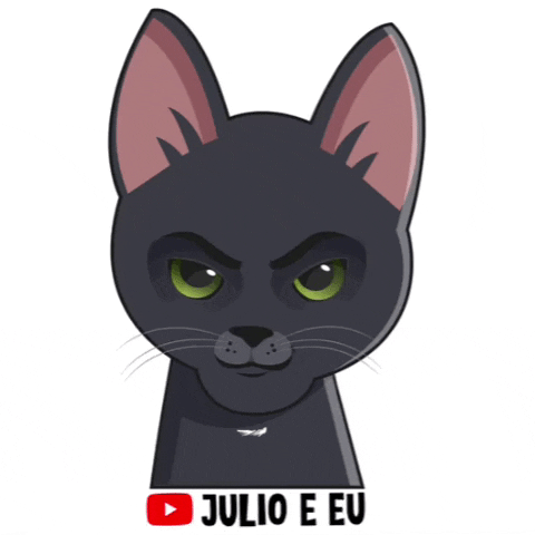 julioeeu cat kitten gato blackcat GIF
