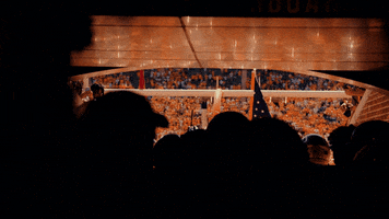 Football Ut GIF by Tennessee Athletics