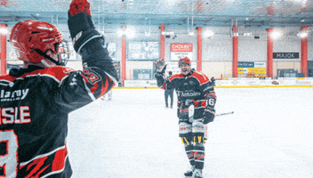 Division 1 D1 GIF by Dogs Cholet