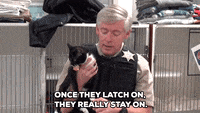 police cat gif