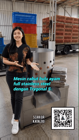 Chicken GIF