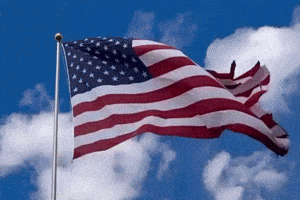 American Flag Merica GIF by Charli Gurl