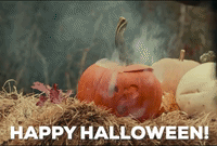 via GIPHY  Halloween food decorations, Happy halloween gif, Halloween  pictures