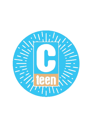 Cteen France Sticker