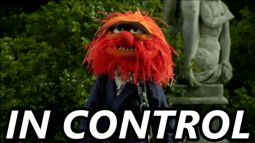 the muppets in control GIF