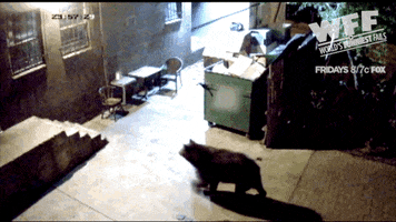 world's fails GIF by World’s Funniest